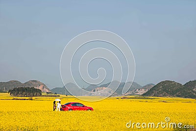 Yunnan Luoping canola flower on a small patch of flowers Bazi Stock Photo