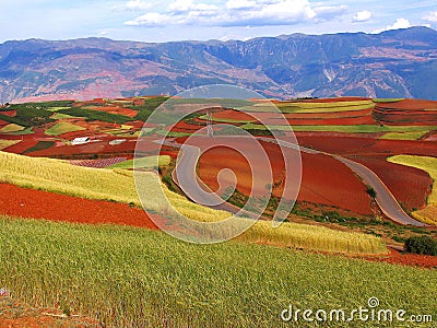 Yunnan red soil dry Stock Photo