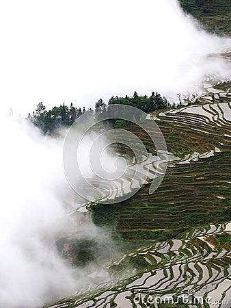 Yunnan rice-paddy terracing Stock Photo