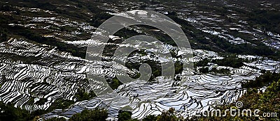 Yunnan rice-paddy terracing Stock Photo