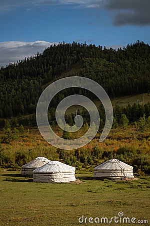 Yurt camp surrounded by trees on the ridge of the mountain. Small ger huts on the crest of the hill on a sunny day Stock Photo