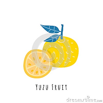 Yuzu fruit flat vector illustration Vector Illustration