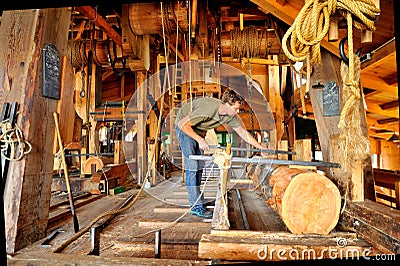 The Zaanse Schans. Windmill the Young Sheep Editorial Stock Photo