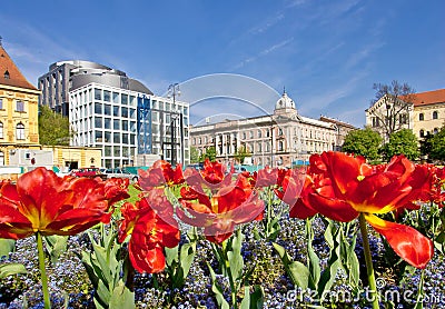 Zagreb colorful flora and architecture Stock Photo