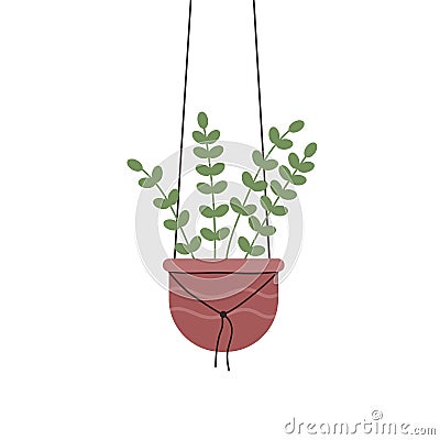 Zamioculcas zamiifolia or zz plant in hanging pot, indoor house nature garden decor Vector Illustration