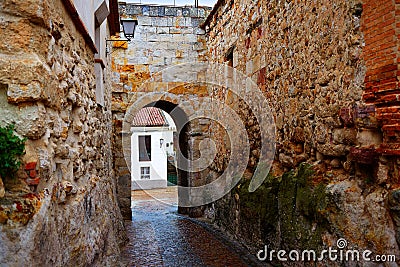 Zamora door of Dona Urraca in Spain Stock Photo