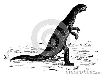 The zanclodon, dinosaur of Triassic age Europe, vintage engraving Vector Illustration