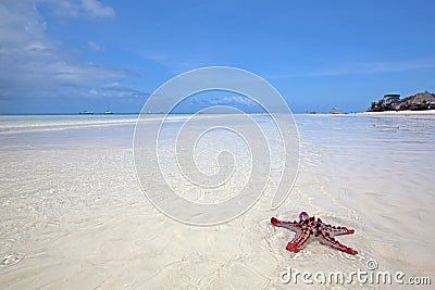 Zanzibar beach Stock Photo