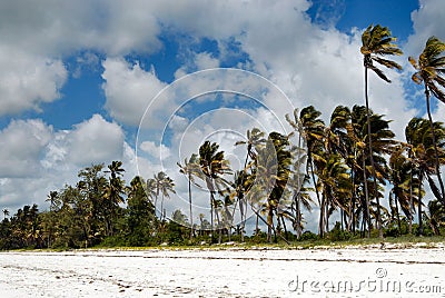 Zanzibar beach Stock Photo