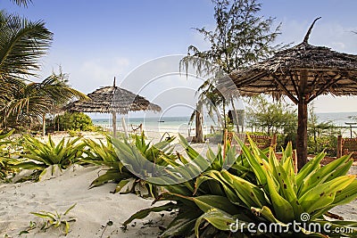 Zanzibar beach Stock Photo