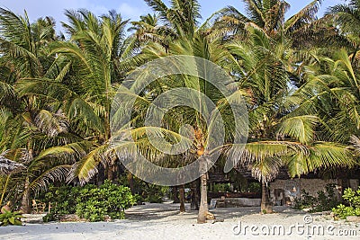 Zanzibar beach Stock Photo