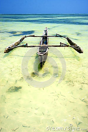 zanzibar beach seaweed in indian ocean green Stock Photo