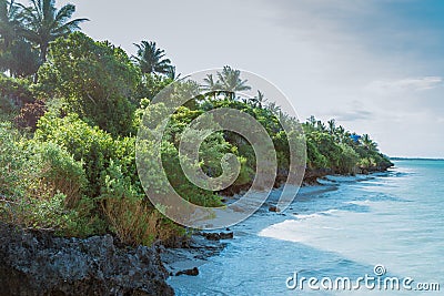 Zanzibar Coastline Stock Photo