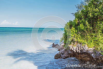 Zanzibar Coastline Stock Photo