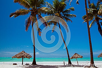 Zanzibar Paje beach Stock Photo