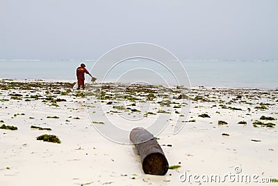 Seaweed farmers in the blue water off the white beaches of the I Editorial Stock Photo