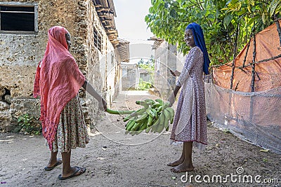 Two african young girls carry a bunch of green bananas on the street of Zanzibar island, Tanzania, East Africa Editorial Stock Photo