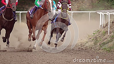 Zaokrąglać Racecourse na Końskich rasach swobodny ruch zdjęcie wideo Zaokrąglać Racecourse na Końskich rasach swobodny ruch zdjęcie wideo