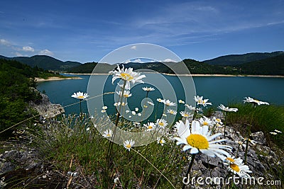 Zaovine lake Stock Photo