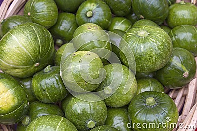 Zapallito Round Zucchini Stock Photo