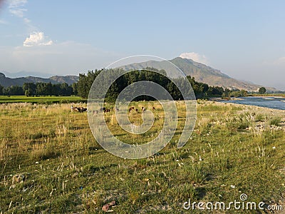 Zarakhela Shamozai gateway to Swat valley beautiful scenery Stock Photo