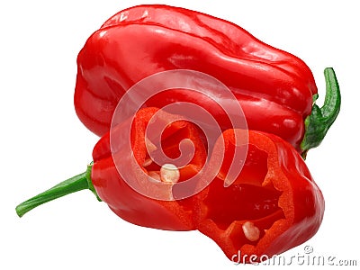 Zavory habanero pepper c.chinense, paths Stock Photo