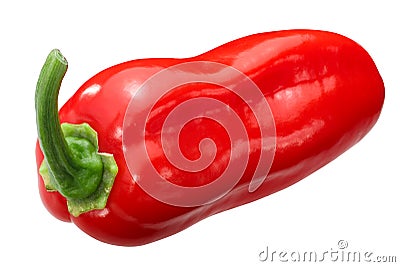 Zavory habanero pepper c.chinense, paths Stock Photo