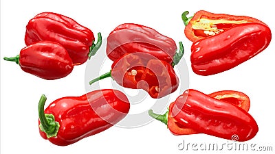 Zavory habanero peppers c.chinense, paths Stock Photo