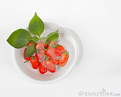 Zavory Mild Habanero peppers in White Bowl Stock Photo