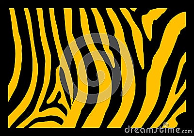 Zebra Vector Illustration