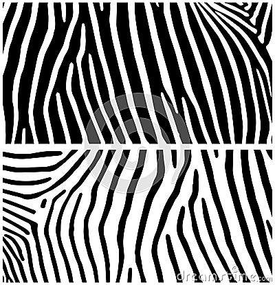 Zebra. Animal background Vector Illustration