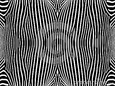 Zebra. Animal background. Vector Illustration