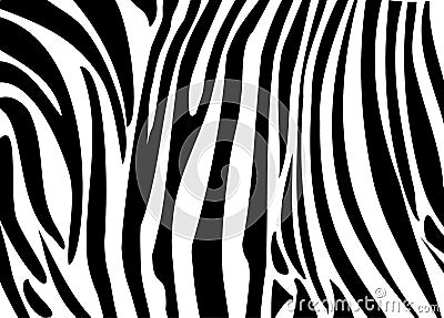 Zebra PRINT Vector Illustration