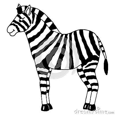 Zebra Vector Illustration