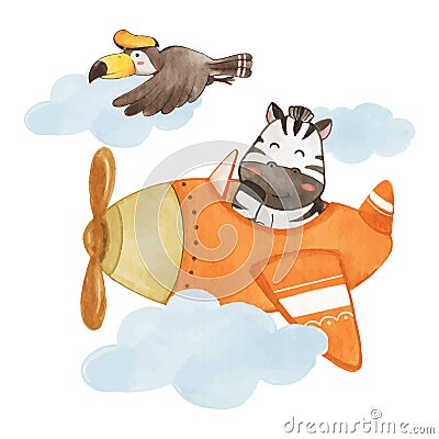 Zebra drive airplane on sky with hornbill bird . Realistic watercolor paint with paper textured . Cartoon character design . Vector Illustration