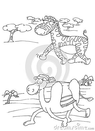 Zebra and dromedary chine coloring humorous children Stock Photo