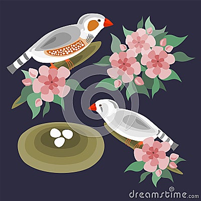 Zebra finches birds and flowers set Stock Photo