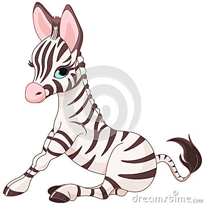 Zebra Foal Vector Illustration