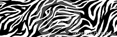 Zebra fur - stripe skin, animal pattern. Repeating texture. Black and white seamless background. Vector Vector Illustration