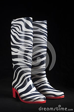 Zebra Gum Boots Stock Photo