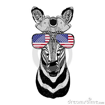 Zebra Horse pirate hat Cocked hat, tricorn Sailor, seaman, mariner, or seafarer Stock Photo