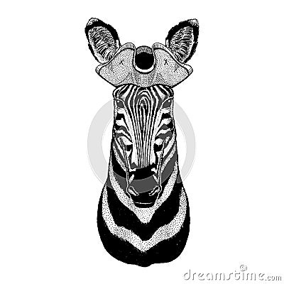 Zebra, horse wearing pirate tricorn hat. Capitan costume. Vector Illustration