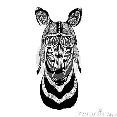 Zebra horse Wild animal wearing motorcycle, aero helmet. Biker illustration for t-shirt, posters, prints. Vector Illustration