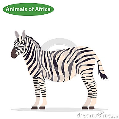 Zebra, zebra icon, African animals Vector Illustration