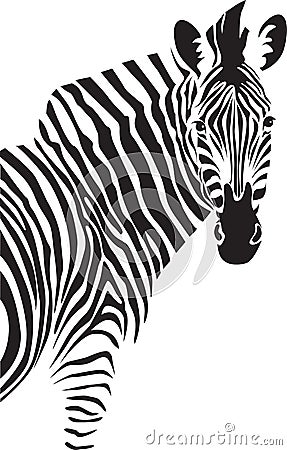 Zebra. Illustration. Vector Illustration