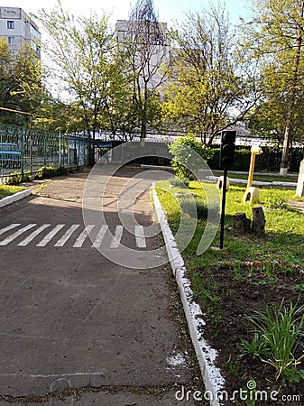 Zebra marking road and a toylike traffic light nearby Stock Photo