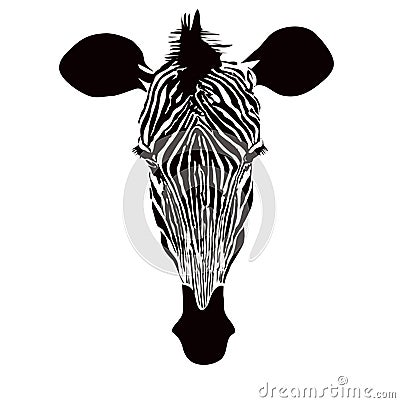 Zebra nature poster head stripe Vector Illustration