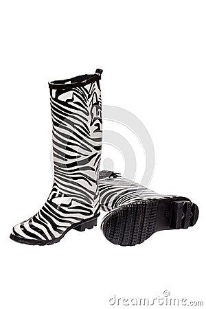 Zebra pattern rubber boots Stock Photo