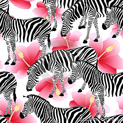 Zebra on pink hibiscus background, seamless pattern. Vector Illustration