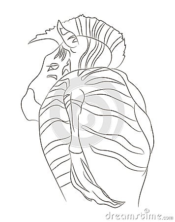 Zebra portrait vector illustration, line drawing, vector Vector Illustration